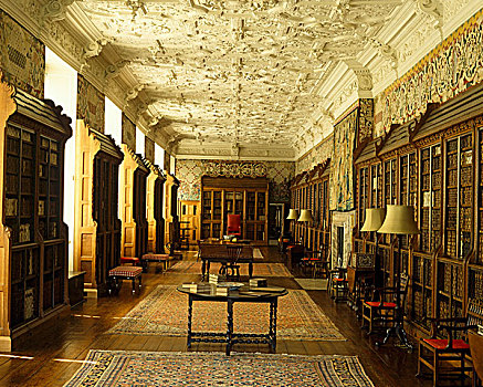 象征,天花板,怪诞,维多利亚时代风格,檐壁,花粉,图书馆,18世纪