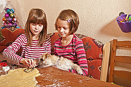 双胞胎,女孩,狗,饼干