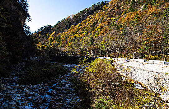 秦岭山