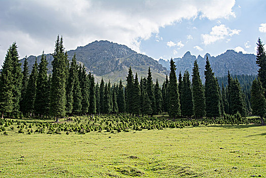 鹿角湾美景