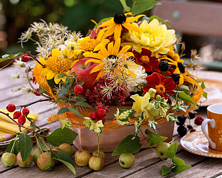 黄雏菊属植物,遮阳帽,大丽花,悬钩子属植物,黑莓