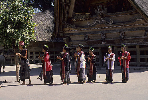 印度尼西亚,苏门答腊岛,湖,岛屿,巴塔克,传统,跳舞