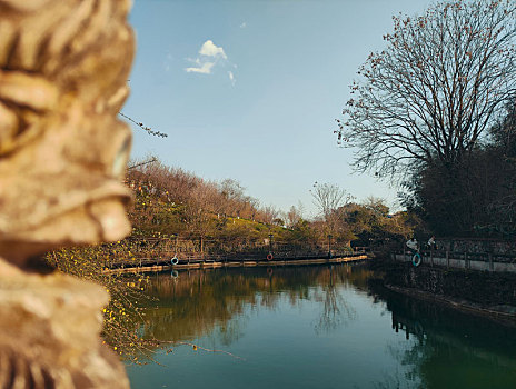 贵州醇景区风光