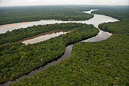 河,雨林,圭亚那