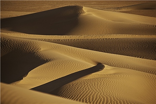 荒漠沙丘,撒哈拉沙漠