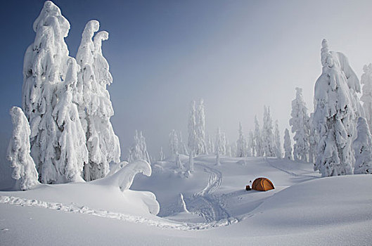 鲜明,橙色,帐蓬,雪,远眺,山,远景