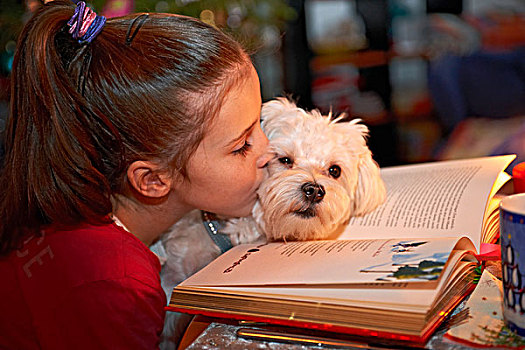 女孩,吻,狗,马耳他,1岁,读,书本