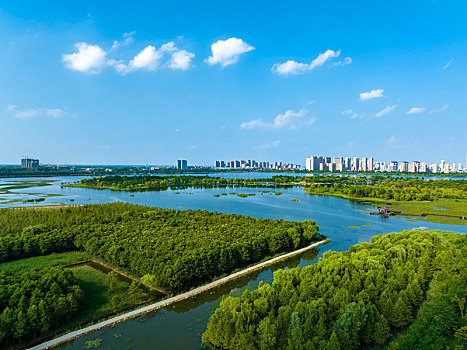 2022年8月1日,江苏省连云港市东海县西双湖风景区,郁郁葱葱,岸绿水清,天蓝景美,构成了一幅优美的夏日美景图,成为了市民休闲纳凉好去处