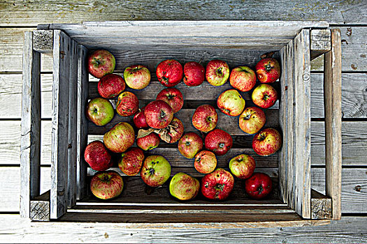 苹果,木盒