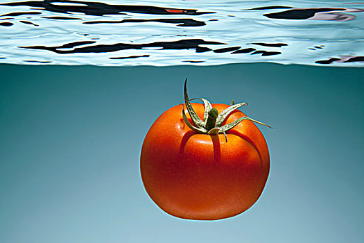 西红柿,水下