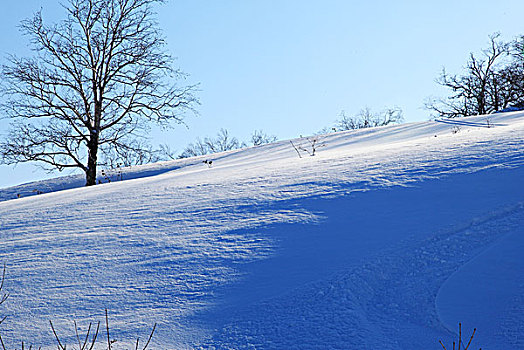 秃顶子山风光