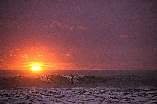 冲浪,波浪,日落,首映,目的地,尼科亚,半岛,哥斯达黎加