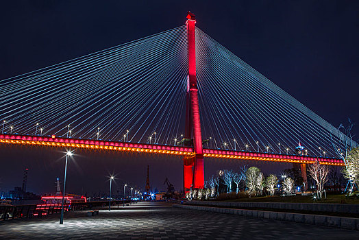 新华滨江杨浦大桥夜景