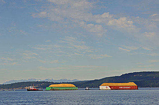 驳船,木,碎屑,温哥华岛,不列颠哥伦比亚省,加拿大