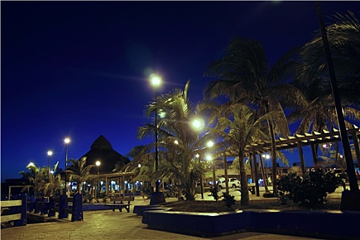 波多黎各,莫雷洛斯,夜晚,棕榈树,马雅里维拉