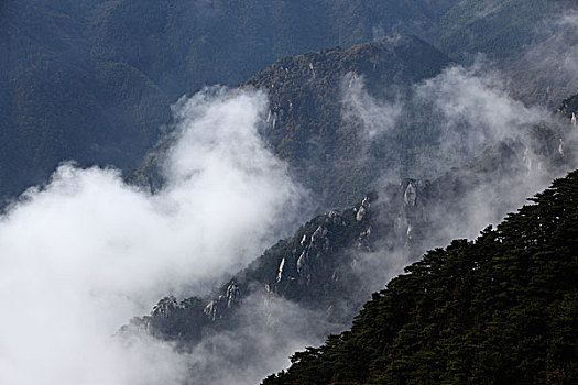 山,云海,雾