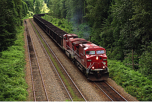 列车,靠近,不列颠哥伦比亚省,加拿大