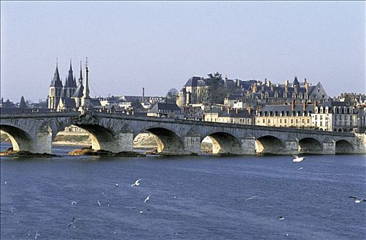 法国,中心,布卢瓦,桥,教堂,城堡,背影
