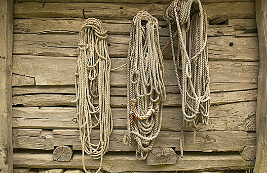 绳索,房子,松恩峡湾,南方,峡湾,挪威