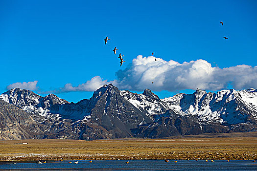 雪山和湿地