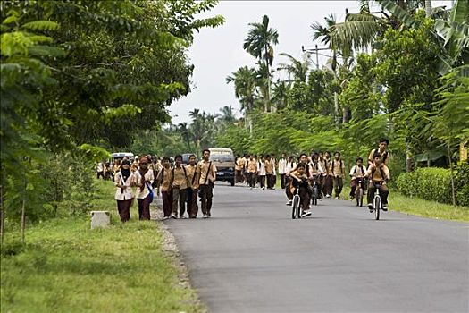 学童,衣服,制服,走,街道,课外,靠近,印度尼西亚