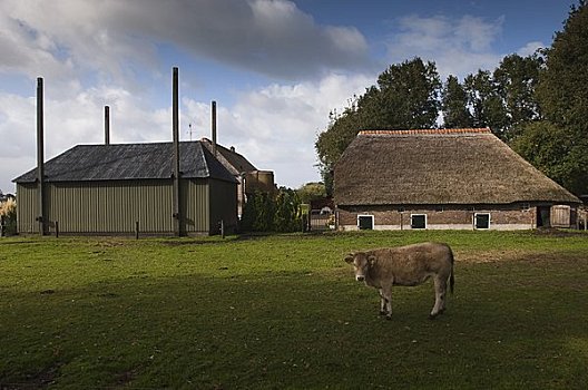 农场,上艾瑟尔省,荷兰