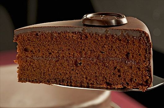 块,萨赫蛋糕,巧克力蛋糕,蛋糕块