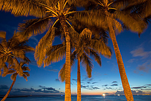 黎明,怀基基海滩,檀香山,瓦胡岛,夏威夷