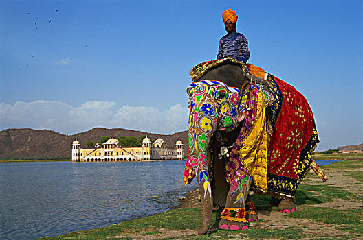 印度,斋浦尔,湖上皇宫,大象,游行