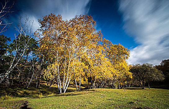 坝上草原秋季风光塞罕坝乌兰布统木兰围场风景