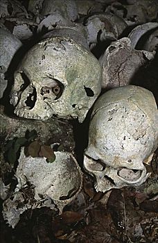 人头骨,埋葬,洞穴,巴布亚新几内亚