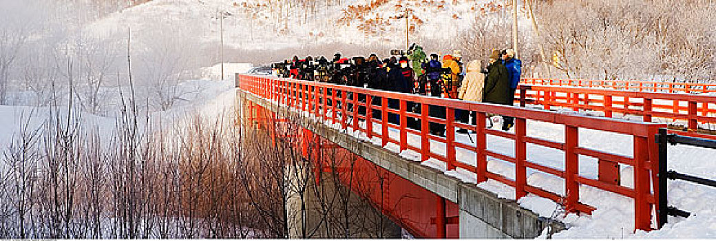 摄影师,看,上方,边缘,桥,北海道,日本