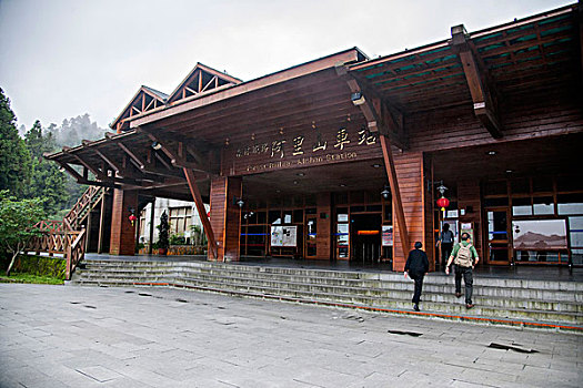 台湾嘉义市阿里山森林小火车站