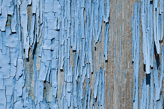 蓝色,涂绘,去皮,木头
