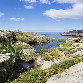 悬崖,海洋,瑞典