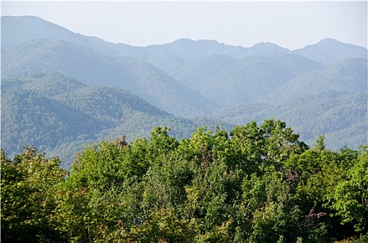 山景,岚山