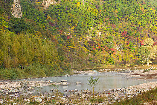 山坡,植被,自然,风光,本溪,湖里村,秋季,红叶,色彩,艳丽,云雾