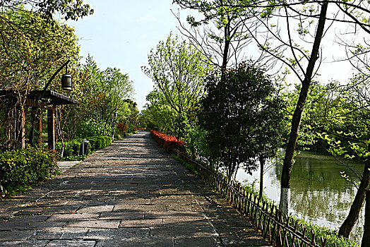 杭州西溪湿地寿堤