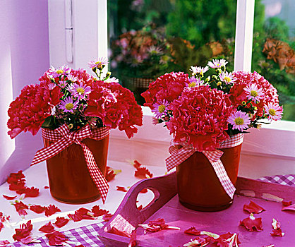小,花朵,康乃馨,米迦勒雏菊,红色,广口容器