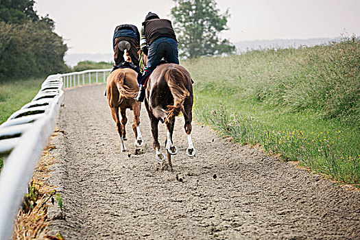 两个,马,骑手,小路,比赛,相互,训练,赛马
