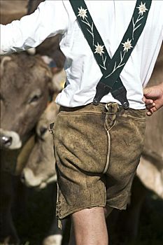 男人,皮裤,赶牛,德国