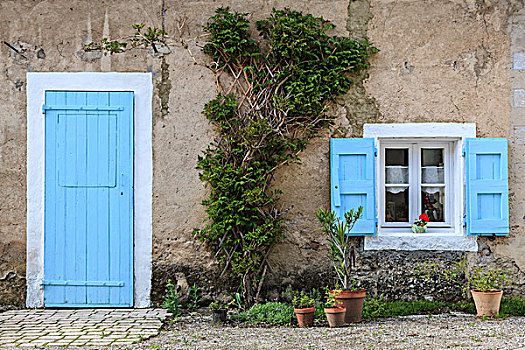 淡蓝色,门,窗户,百叶窗,盆栽,伊泽尔省,隆河阿尔卑斯山省,法国,欧洲