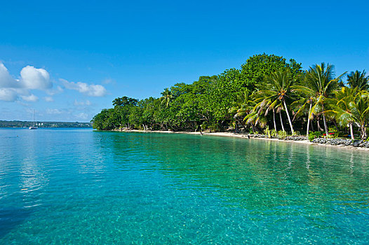 海滩,岛屿,省,瓦努阿图,大洋洲