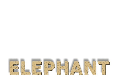 大象,纹理,文字