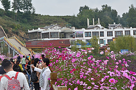 草海风光,威宁,草海,花海