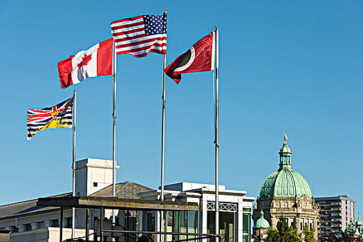 加拿大,不列颠哥伦比亚省,维多利亚,内港,旗,飘扬,渡轮,国会大厦