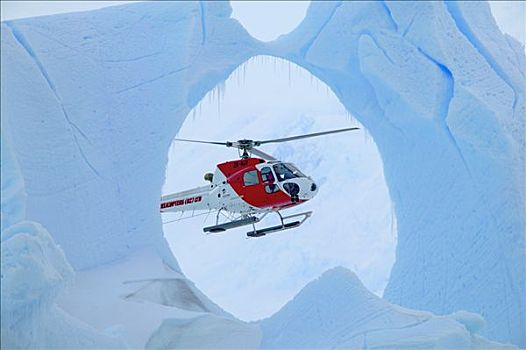 直升飞机,飞,冰层,南极