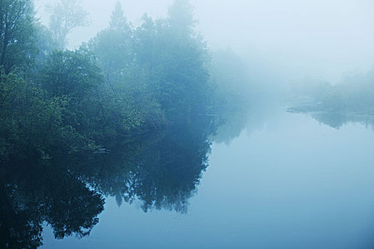 雾气,原始森林,大兴安岭