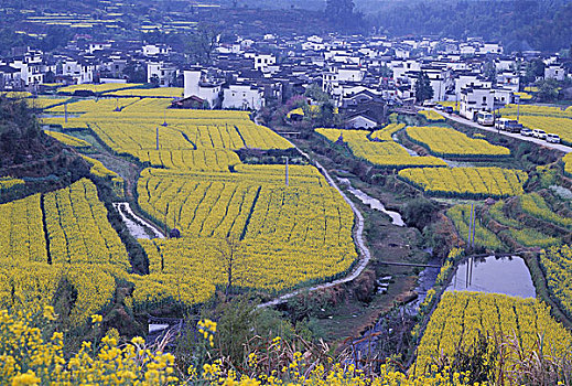 安徽,黄山,徽州,民居,油菜花,日全食,宝塔