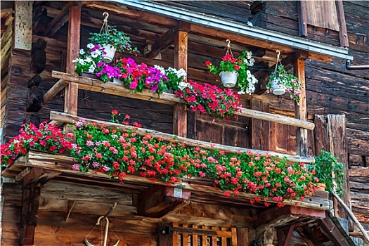 木屋,费什,瑞士